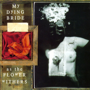 my dying bride "as the...