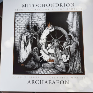 Mitochondrion "Archaeaeon" LP